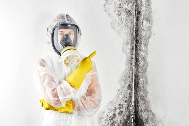 Trusted Lancaster, WI Mold Removal & Remediation Experts